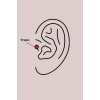 316L Çelik Gümüş Renk Zirkon Taşlı Göz Tragus Piercing 316L Çelik Gümüş Renk Zirkon Taşlı Göz Tragus Piercing