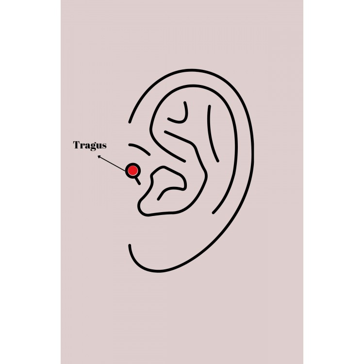 316L Çelik Gümüş Renk Pembe Mineli Kalp Zirkon Taş Detaylı Taç Tragus Piercing